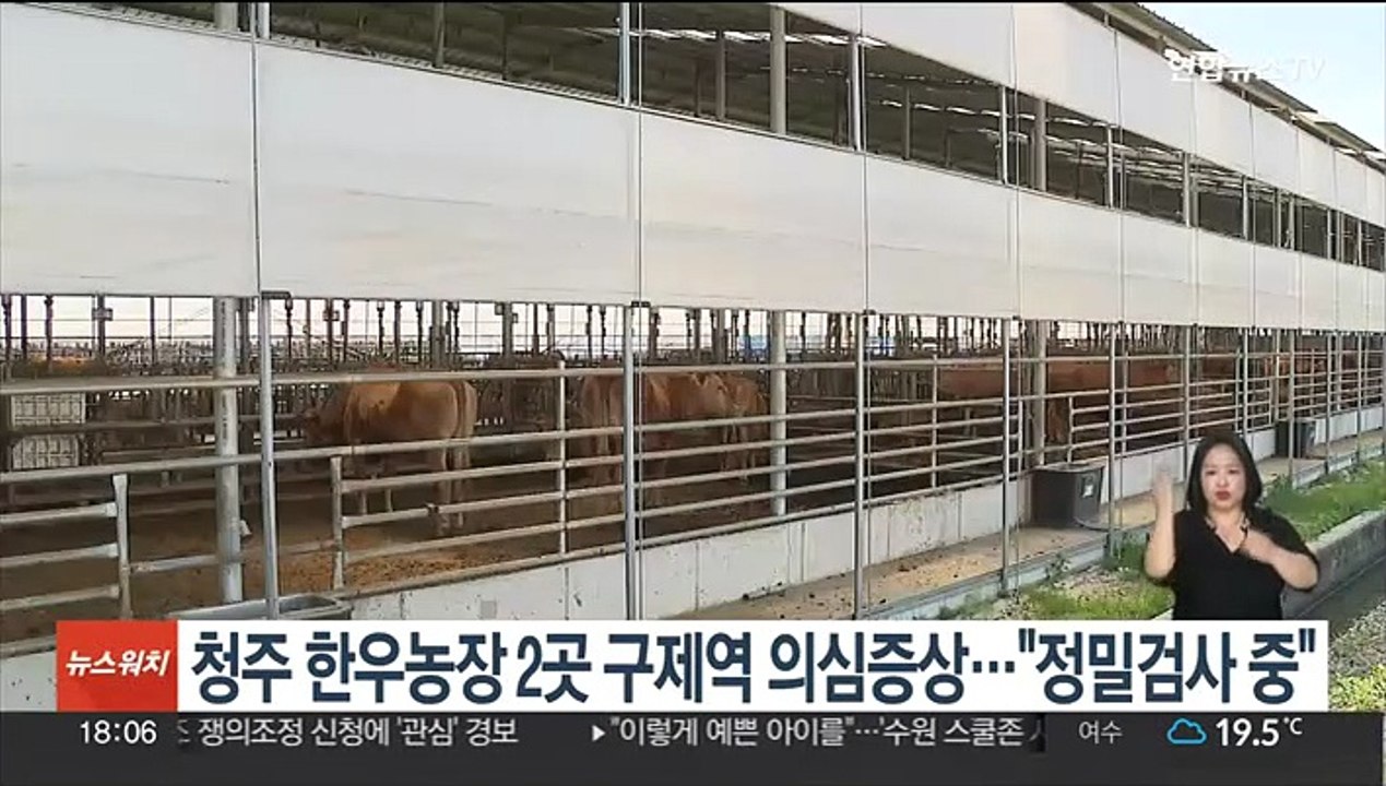 청주 한우농장 2곳 구제역 의심증상…"정밀검사 중"