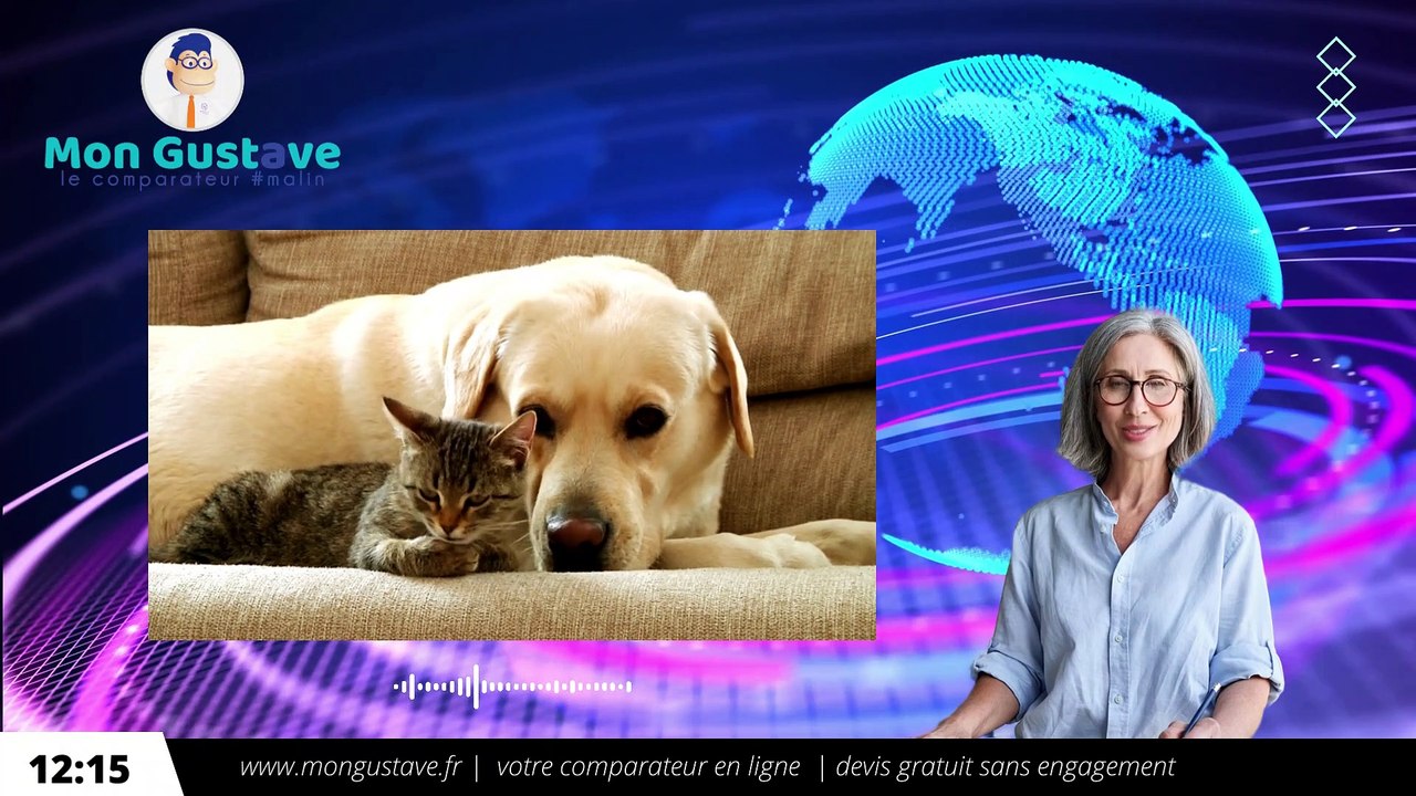 Quel est le prix assurance animaux en 2023  pour un chien ou un chat ?