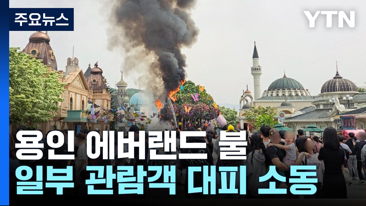 에버랜드 나무 조형물에서 불...이용객 대피 소동 / YTN
