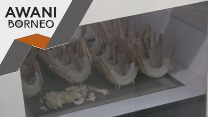 Penggiat minta wujudkan jabatan kawal selia industri sarang burung walet