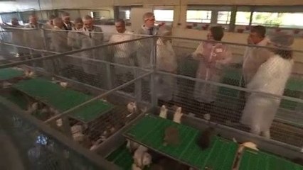 Suivez le déplacement d'Élisabeth Borne dans une exploitation agricole à la Réunion