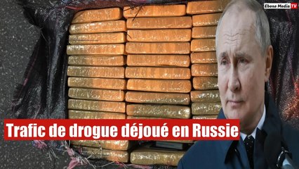 La  Russie saisie une cargaison de cocaïne polonaise