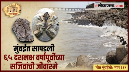 गोष्ट मुंबईची: भाग १११ |...जेव्हा संपूर्ण जंगलच मुंबईच्या समुद्राखाली जाते तेव्हा!