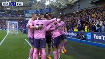 BRIGHTON 1-5 EVERTON | Premier League highlights