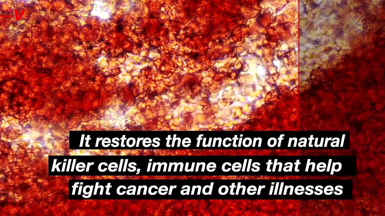 Drug Used to Treat Diabetes Has Side Effects of Weight Loss and a Boosted Immune Response To Cancer