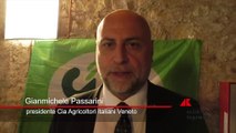 Acquacoltura, Passarini (Cia Agricoltori italiani Veneto): “Cambiamenti climatici compromettono ecosistema”