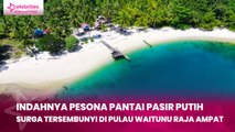 Indahnya Pesona Pantai Pasir Putih, Surga Tersembunyi di Pulau Waitunu Raja Ampat