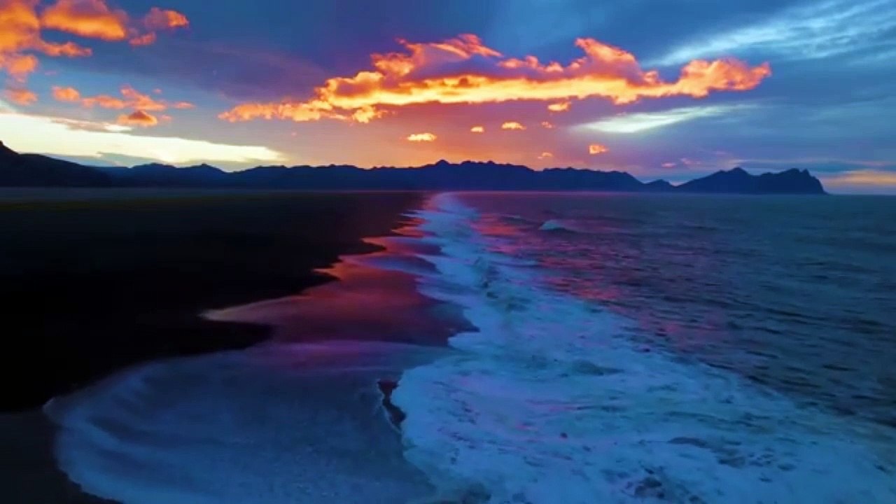 AMAZING  Beautiful   inhabit all terrestrial on the planet earth.