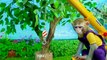 KiKi Monkey fixes trouble with Coca vs Pepsi Vending Machine and go to the toilet _ KUDO ANIMAL KIKI