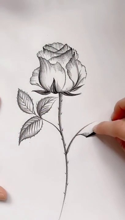 How to make flowers #pencil art drawing #how to drawing