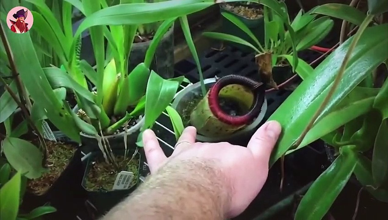 15 Drastische, Unglaubliche Momente Der Raubtierjagd