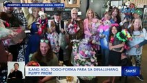 Ilang aso, todo-porma para sa dinaluhang puppy prom | Saksi