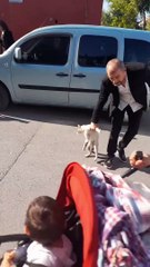 Man Intervenes in Street Cat Standoff