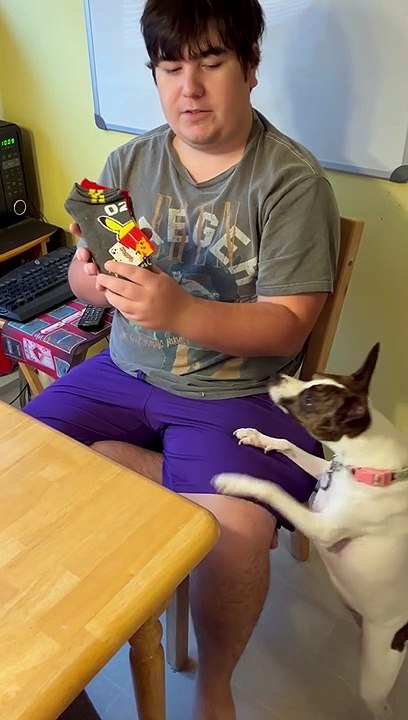 Pokémon socks not for Princess