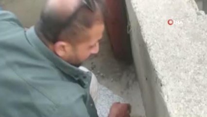 Demir profilde sıkışan kuş böyle kurtarıldı