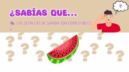 ¿Sabías que? Sorprendentes datos sobre la sandía que quizás no conocías 🍉