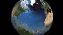 What If the Gulf Stream Current Stopped?