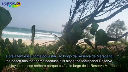 Praia da Reserva de Marapendi - Rio de Janeiro - RJ, Brasil ( Barra da Tijuca ).