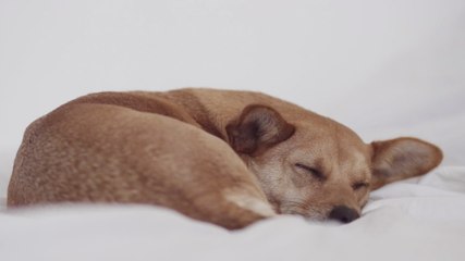 Vacuuming Your Mattress Is the Crucial Bedroom Cleaning Step You Shouldn't Skip