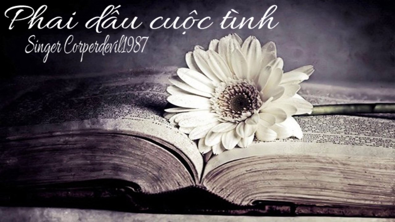 Phai dấu cuộc tình (Singer Corperdevil1987) Tác giả Thái Thịnh Full HD