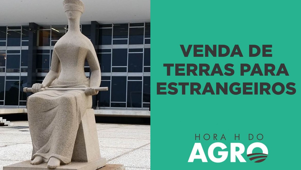 Ações que questionam a venda de terras para estrangeiros voltam a tramitar na Justiça | HORA H DO AGRO