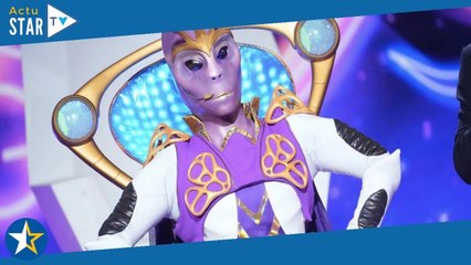Mask Singer : combien coûtent les costumes ? La production nous répond !