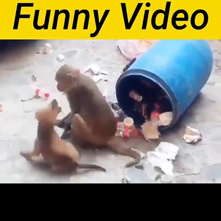 Amezing_Funny_Video_Dog__with_Monkey_