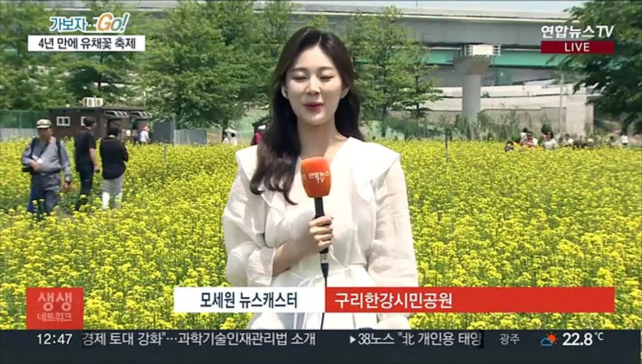 노란 유채꽃 만개…4년 만에 열린 구리유채꽃축제