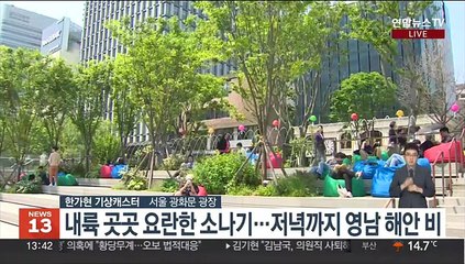 [날씨] 주말 내륙 요란한 소나기…영남 해안 비 이어져