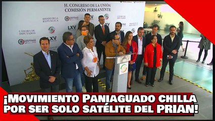 ¡VEAN! ¡Movimiento Paniaguado chilla por no tener presencia y ser solo un pobre satélite del PRIAN!