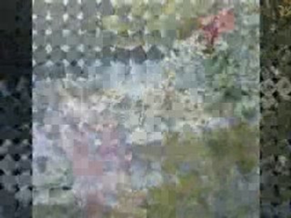 Tek Türkiye-Divane Bülbül-www.paylasdikca.net