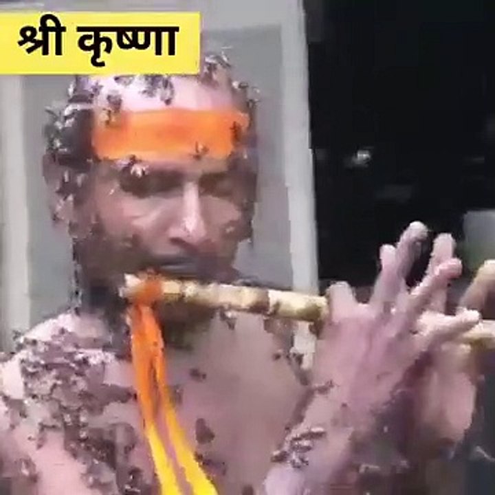 Swarm of Bees Enchanted to the Tune of Flute #shorts #viral #shortsvideo #video #innovationhub