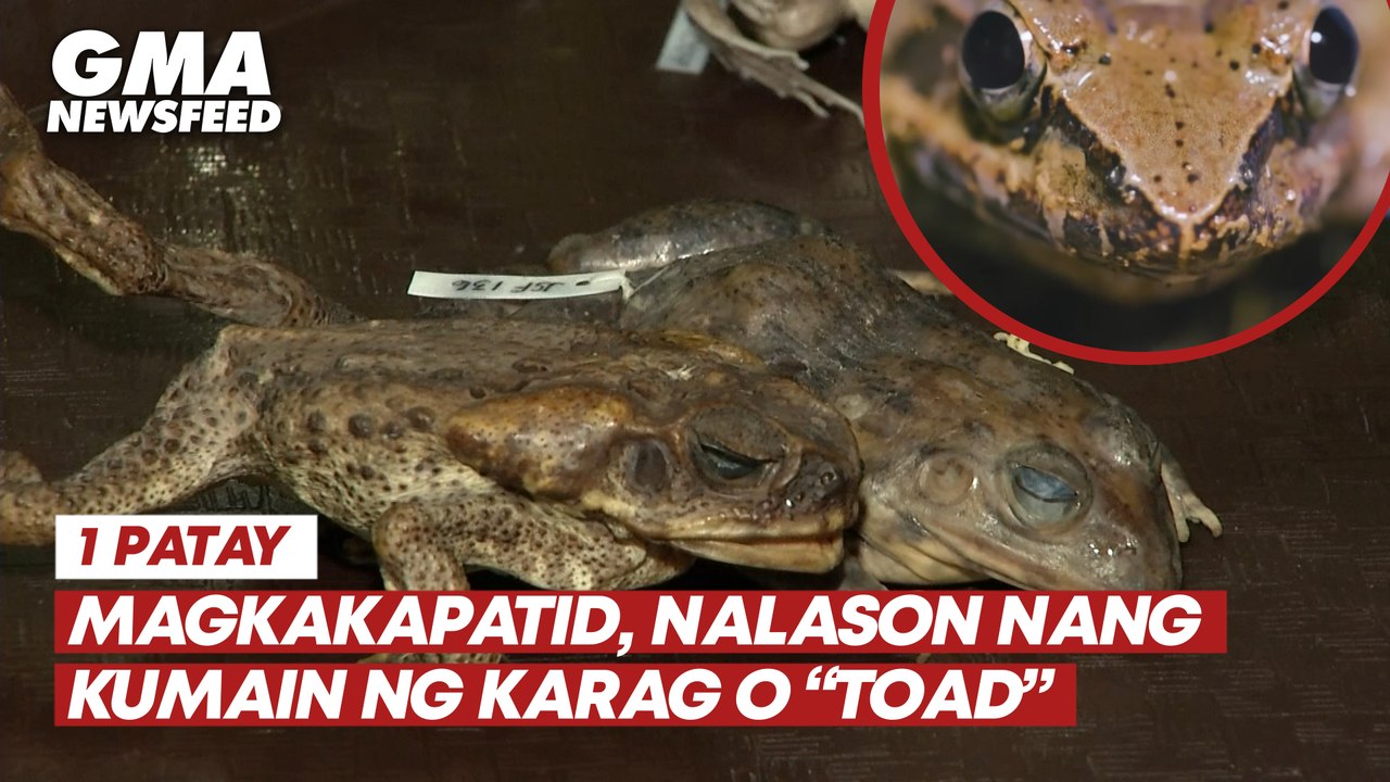 Magkakapatid, nalason nang kumain ng karag o “toad” | GMA News Feed