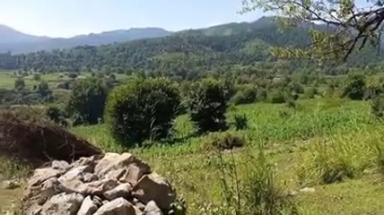 Wadi Tirah Maiden District Khyber