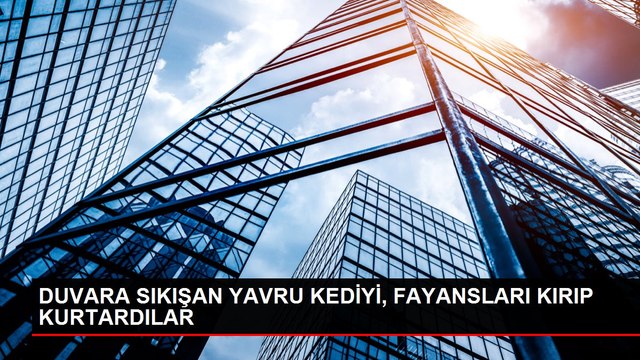 DUVARA SIKIŞAN YAVRU KEDİYİ, FAYANSLARI KIRIP KURTARDILAR