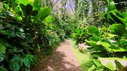 Yoga Nidra Music for Deep Relaxation