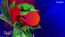 Mask Singer 5 -  Qui se cache sous le costume de La plante carnivore ? Tous les indices dévoilés