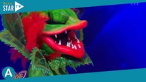 Mask Singer 5 - La plante carnivore : Une belle australienne sous le costume ?