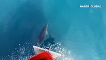 Antalya'da renkli görüntüler! Yunuslar tekneyle yarıştı, turistler eğlenceli anlar yaşadı