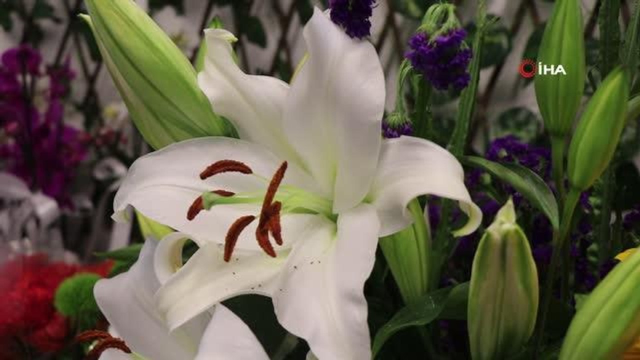 Anneler Günü seçimlere denk gelince çiçekçiler de slogan üretti: "Oyunu ver, siparişini ver"