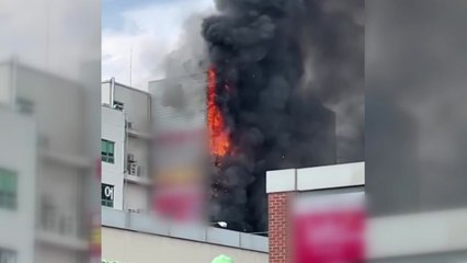 대구 봉무동 마트에서 불...인명피해 없어 / YTN