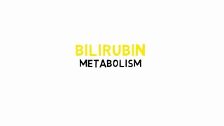Bilirubin Metabolism Simplified 2023 explain