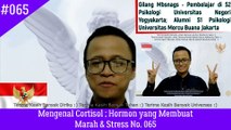 Mengenal Cortisol ; Hormon yang Membuat Marah & Stress No. 065 - Gilang Mbsnags #psikologi #marah #stress #cortisol #psikologi #pengembangandiri #gilangmbsnags