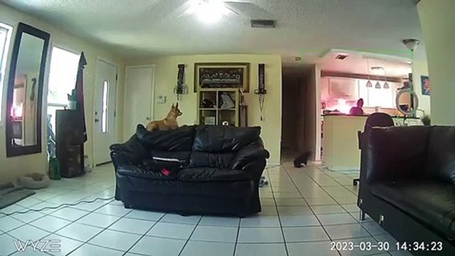 Security Camera Captures Kitchen Fire