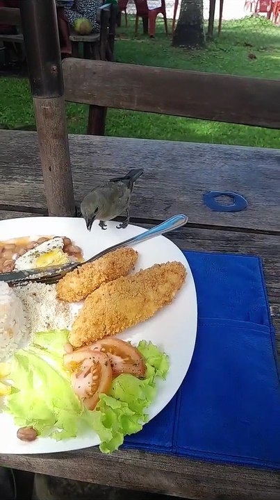 Sharing A Meal With A Bird