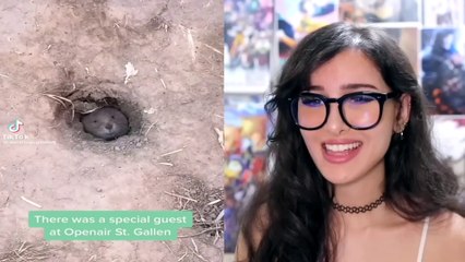 Unbelievable Moments Caught on Camera! 😱