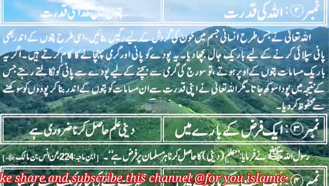 Poswer of Allah, leaves of tree, blessings in Jannah, cure for every desease