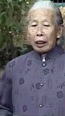 Unleash your inner car enthusiast with Car Boy