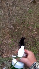 Taking Poking the Bear to the Next Level