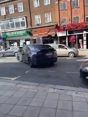 Tesla driver drives with door up and pays the price for it